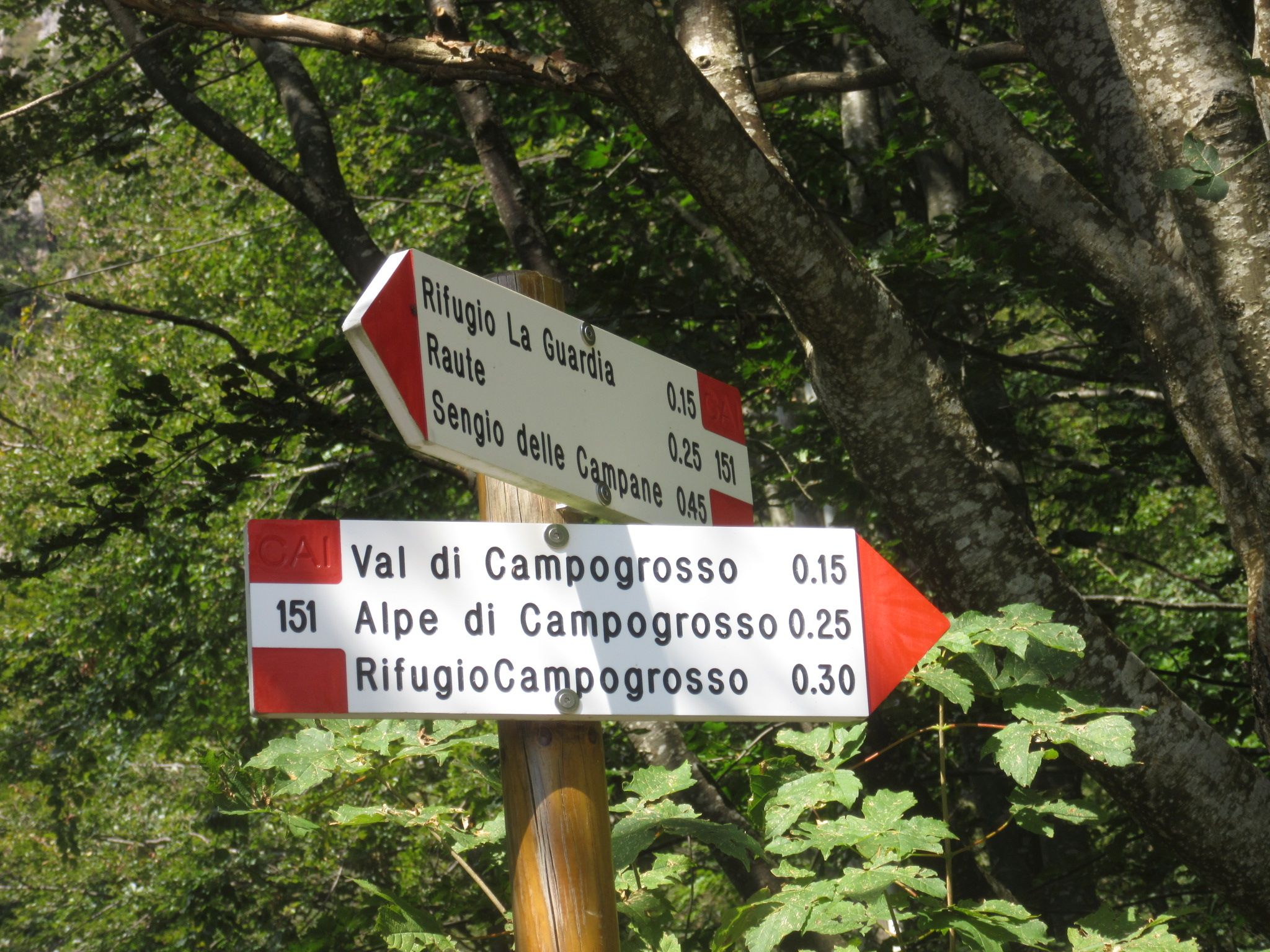 Sentiero 151 – Sengio delle Campane / Campogrosso